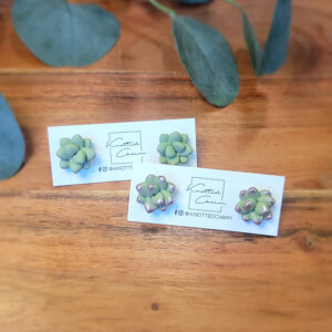 Succulent Stud